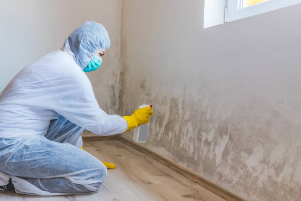 Licensed Mold Testing service in Tacoma, WA - WQB Mold Removal
