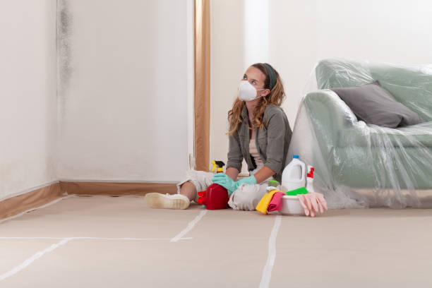 Reliable Mold Testing contractor in Tacoma, WA by WQB Mold Removal